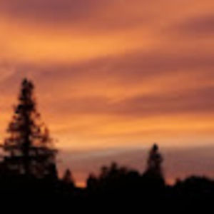 Meet your Posher, Willow